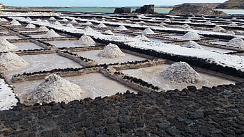 Sótenyésztés, Sóültetvény, só farm, Sós gazdálkodás, mezőgazdaság, só, tájkép, só növény, salinas de janubio, lanzarote