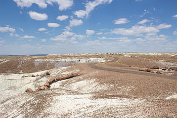 desert, painted Desert, arizona, arizona Landscape, petrified Trees, petrified Forest, united States, badlands, scenery, landscape, arizona Painted Desert
