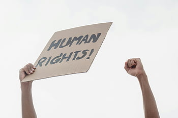 human rights, protest, placard, clenched fists, advocacy, demonstration, cardboard sign, social justice, activism, rally, freedom