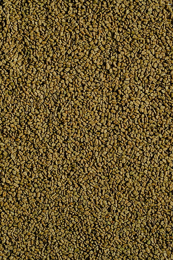 σπόροι Fenugreek, χρυσαφί καφέ, φυσική υφή, λεπτομερής προβολή, σωρός από fenugreek, σπόρους μπαχαρικών, μαγειρικά συστατικά, αρωματικοί σπόροι, μπαχαρικό Fenugreek, υφή σπόρων, κοντινά σπόρους