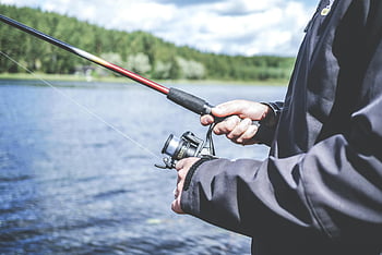 penangkapan ikan, man memancing, memancing danau, hobi luar ruangan, memancing santai, memancing alam, tongkat pancing, alat pancingan, aktivitas memancing, tempat memancing, memancing di alam