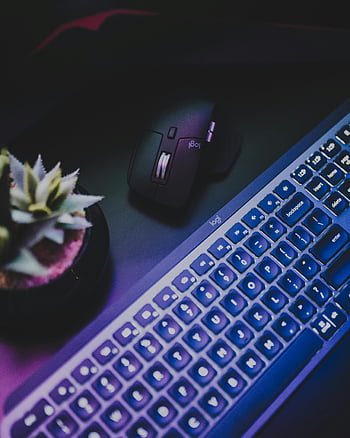 mouse Logitech hitam, keyboard komputer hitam, keyboard menyala, penggemar teknologi, ruang kerja bertema gelap, tikus hitam, Ruang kerja bergaya, periferal komputer, Periferal Logitech, pengaturan ruang kerja, Aksesori Teknologi