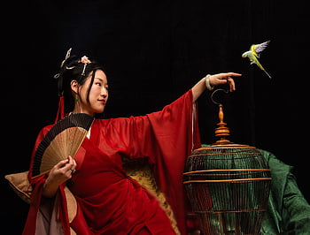 หญิง, แบบ, ชาวจีน, เอเชีย, Hanfu, แบบผม, ภาพเหมือน, นก, ท่าทาง, กรงนก, แฟน