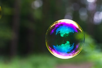 soap Bubble, bubble, reflection, floating, colorful, forest, nature, closeup