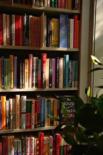 library bookcase, sunlit corner, Boston library, neatly arranged books, bookshelf, library interior, book collection, library corner, book display, library scene, book arrangement