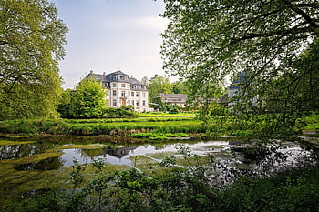 castle, park, wetland, swamp, nature, spring, landscape, schloss Türnich