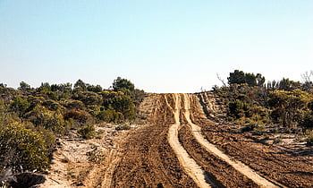 desert, dirt Road, countryside, rural, track, nature, roadway, sandy, landscape, australia
