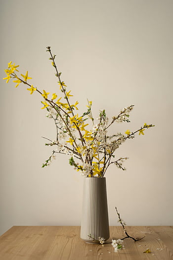 Blomstrende træ kviste, vase, Levende gule blomster, Hvide fjederblomster, Minimalistisk vase, træbord, Forårsarrangement, floral display, indendørs indretning, Naturinspireret indretning, Enkel blomsterarrangement
