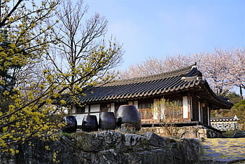 Corea, casa tradizionale, tradizionale, carta da parati floreale, Casa, pietà, casa di piastrelle, hanok, villaggio, bellissimi fiori, Repubblica di Corea