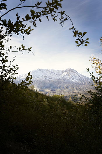 mountain, mount Saint Helens, nature, scenery, landscape, volcano, washington State, evergreen, hiking, vegetation, western