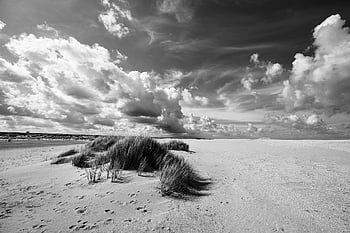 marram trávy, pláž, písek, pobřeží, duny, tráva, písečná pláž, mraky, krajina, Příroda, panoráma