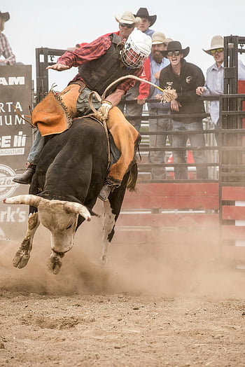 kovboj, býk na koni, Rodeo událost, dovednost, odvaha, Živé rodeo, Rodeo Arena, býk jezdec, Rodeo diváci, Rodeo Action, Soutěž Rodeo