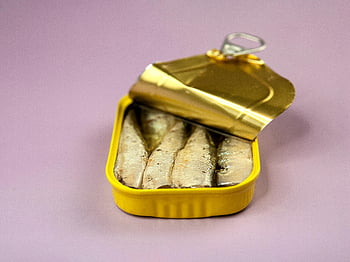 Konzervované ryby, cín sardinky, čerstvé rybí filety, Fialové pozadí, Lila pozadí, otevřená plechovka, detail, fotografování potravin, konzervované sardinky, plody moře, obal