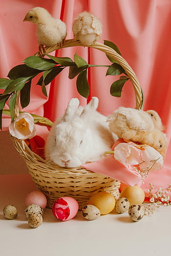 kelinci putih, keranjang anyaman coklat, anak ayam, dekorasi paskah berwarna-warni, Telur Paskah, tulip, musim semi, binatang lucu, meriah, manis sekali, Adegan Paskah