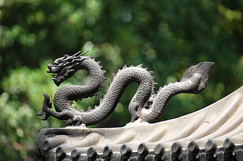 Gray Dragon Statue, decorative dragon sculpture, traditional roof, blurred natural background, dragon art, outdoor sculpture, cultural art, dragon figure, roof ornament, garden art, traditional architecture