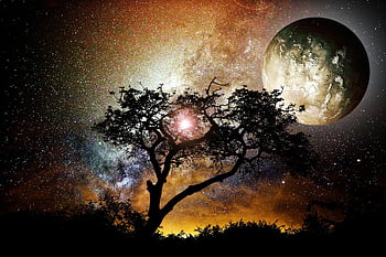 cosmos, universo, exoplaneta, planeta, árbol, Vía láctea, Luna, amanecer, oscuridad, cielo nocturno, estrellas