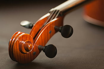 violin scroll, brown string instrument, selective focus photography, detailed close-up, elegant wood finish, musical craftsmanship, violin close-up, violin details, string instrument details, wood finish violin, violin craftsmanship