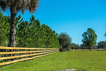 fence, rail, farm, green, wood, rustic, old, outdoor, pasture, railing, natural