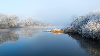 lake, trees, snow, cold, frost, winter, frozen, reflection, water, hoarfrost, scenic