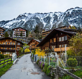svájci falu, hagyományos fa faházak, havas hegyek, lauterbrunnen, színes növények, hangulatos házak, idilli jelenet, hegy lejtőjén, alpesi táj, svájci Alpok, téli táj