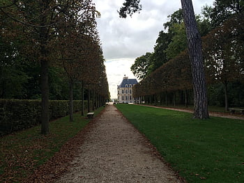 yard, to Run, nature, trees, path, castle, landscape, architecture, dark, scare, fantasy