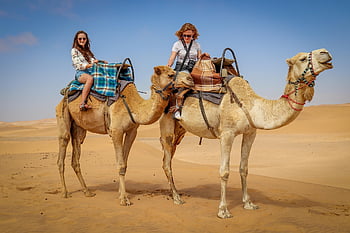 velbloud, poušť, pouště namib, modré nebe, namibijci, Příroda, velbloudí jízdy, cestovní ruch, duna, hnědá poušť