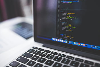 gray laptop, HTML codes, shallow focus photography, laptop screen, code display, tech-focused projects, programming, web development, software development, coding, computer screen