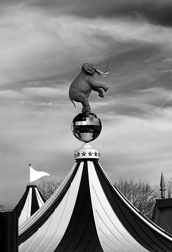 elephant statue, circus big top, black and white photo, dramatic sky, circus tent, elephant on ball, circus decoration, outdoor circus, circus architecture, circus tent top, circus scene