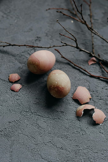 eggs, eggshells, twig, textured concrete, still life, artistic composition, broken eggs, natural elements, rustic background, minimalistic art, egg fragments