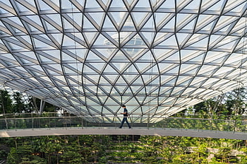 architettura, aeroporto, changi, costruzione, interno, Asia, design, viaggio, punto di riferimento, moderno, in casa