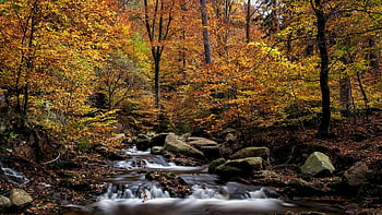 herbst, φυσικό, laub, Κύστη, landschaft, jahreszeit, baume, Χέρμπστϊζον, Herbstfarben, Herbstlaub, fluss