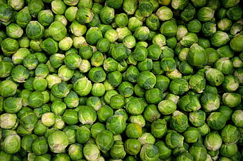 Brussels sprouts, green vegetables, round vegetables, fresh Brussels sprouts, healthy meals, close-up shot, green round vegetables, fresh vegetables, healthy food, green sprouts, round sprouts