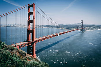 Golden Gate Bridge, San Francisco, clear blue skies, majestic structure, San Francisco Bay, iconic bridge, red bridge, California, tourist attraction, suspension bridge, waterfront view