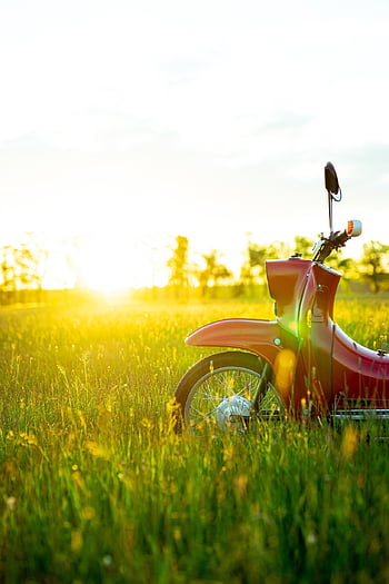koloběžka, trávy, západ slunce, Příroda, motocykl, červený motor, venkovní, louka, doprava, klasický, retro