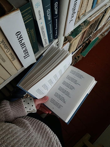 شخص يقرأ،  كتاب مفتوح،  رف الكتب،  مكتبة،  كتب،  القراءة في المكتبة،  مجموعة كتاب،  محب للكتب،  مشهد المكتبة،  قراءة كتاب،  خلفية رف الكتب