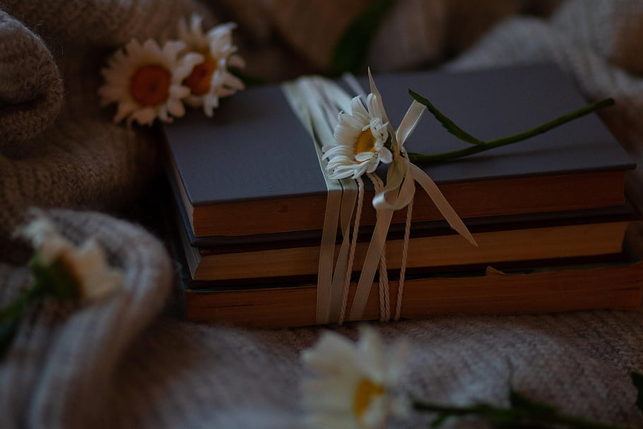 books, bundle, flowers, daisies, knowledge, learning, still Life, gift, summer, cozy