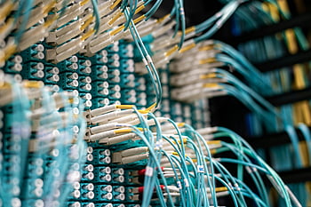 Kabely z optických vláken, patch panel, datové centrum, síťové kabely, Podrobný pohled, připojené kabely, patch kabely, serverovna, Síťová infrastruktura, správy kabelů, optické připojení