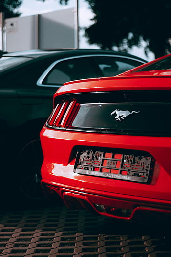 ford mustang, zářivá červená, rozlišovací znak, parkoviště, zpětný pohled, auto, automobilového průmyslu, Logo Mustang, poznávací značka, koncová světla, sportovní auto
