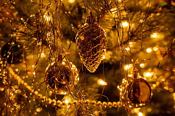 christmas Tree, holiday, season, decoration, christmas, xmas, ornament, stars, green, tree, advent