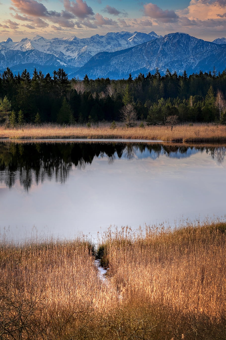 seen, winter, reed, meadow, forest, mountains, alps, clouds, evening Atmosphere, landscape, trees