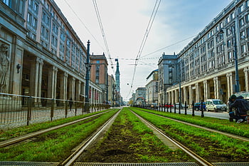 tram tracks, classic architecture, urban scene, green grass, concrete buildings, Wracławek Poland, vibrant city, tramway system, historic buildings, urban greenery, cityscape view