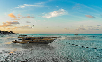 africa, zanzibar, beach, tanzania, island, exotic, water, sun, nature, sand, ocean