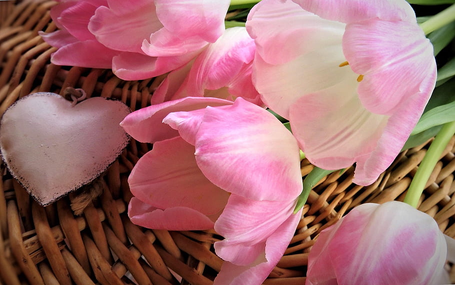 tulips, flower, bunch Of Flowers, spring, blossoms, heart, pink, blossomed, cut Flowers, plants, nature