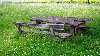 bank, wood, old, bench, nature, wooden Bench, relax, seating