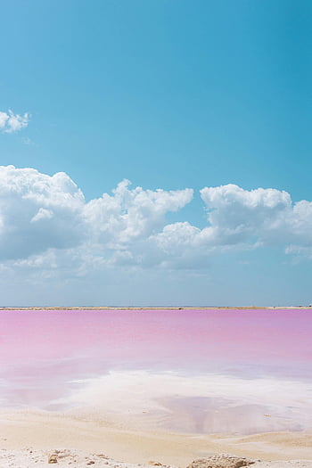 růžová oceánská voda, modrá obloha, Vibrující růžové vody, jasné modré nebe, Las Coloradas, yucatan, Mexiko, přirozený zázrak, růžová jezera, pohled, cíl cesty