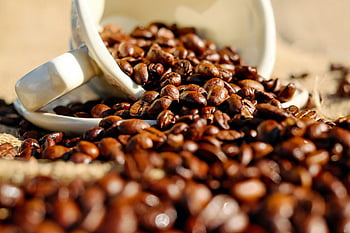 coffee beans, white ceramic cup, shallow focus, close-up, burlap surface, coffee lovers, spilling coffee, coffee cup, roasted beans, coffee photography, coffee still life