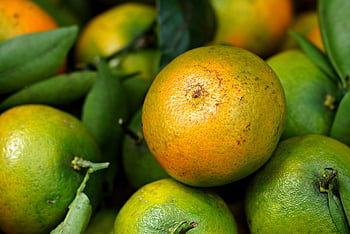 mandarinka, citrus, ovoce, zdravý, organický, čerstvý