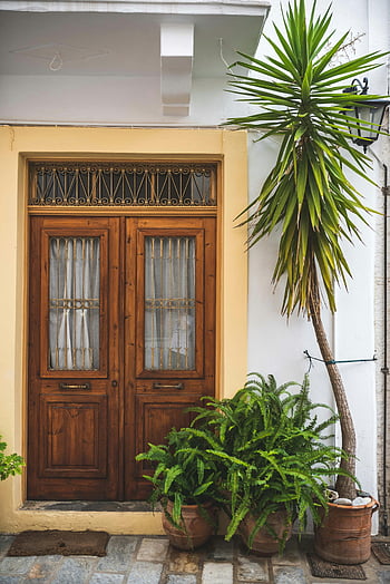 green leafed potted plants, wooden entrance, rustic charm, doorway, green plants, potted plants, wooden door, rustic style, entrance door, outdoor plants, house entrance