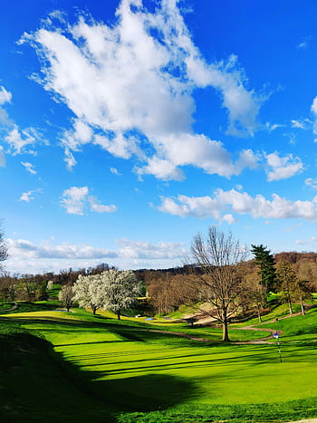 green golf course, blue sky, white clouds, peaceful rural landscape, green park, dry trees, rural scenery, golf course landscape, blue sky clouds, green grass, rural golf course