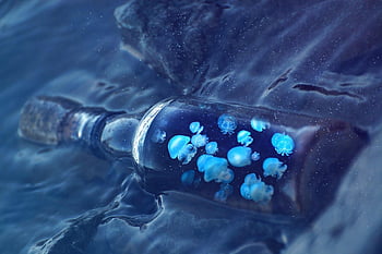 bottle, full Hd Wallpaper, sea, nature, jellyfish, free Wallpaper, Wallpaper 1920x1080, beautiful Wallpaper, laptop Wallpaper, bioluminescent, ocean